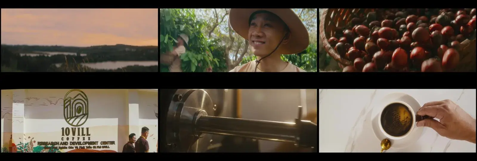 A strip of stills from the brand film — landscape, hands on the slope, ripe cherries, the cupping table