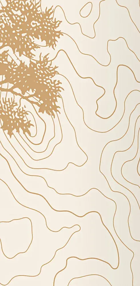 Element — the oak drawn in line