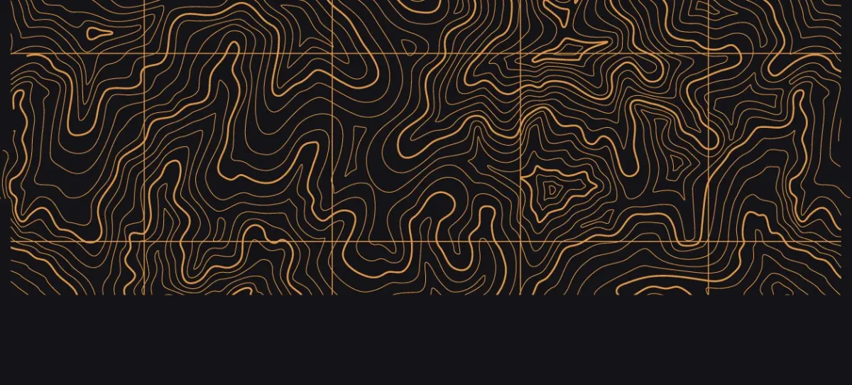 The contour pattern in gold on black
