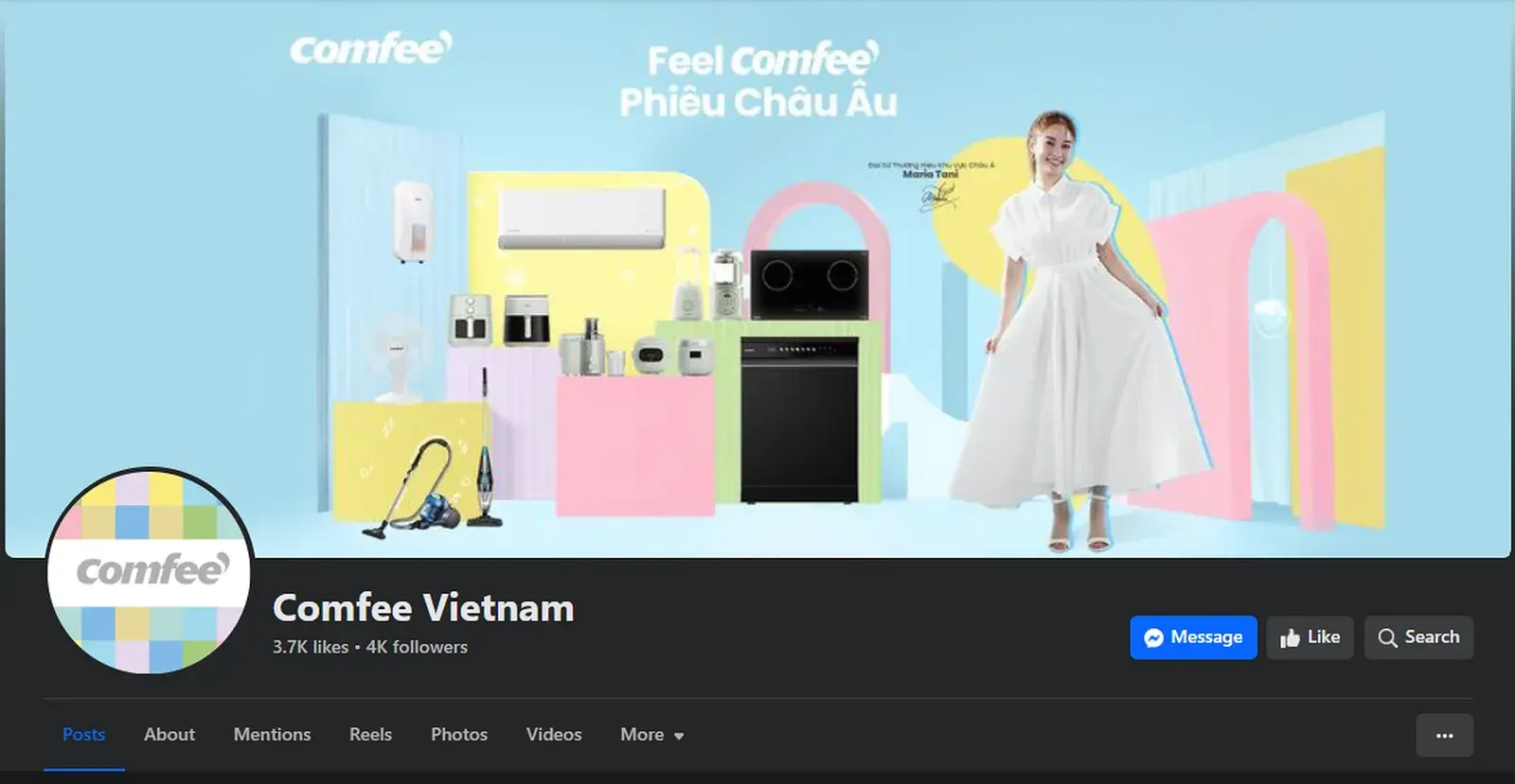 The campaign dressed onto the Facebook page — cover, profile and pinned post