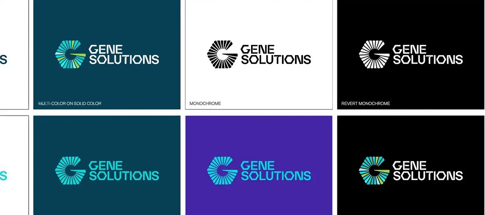 The lockup shown on white, teal, violet and black backgrounds