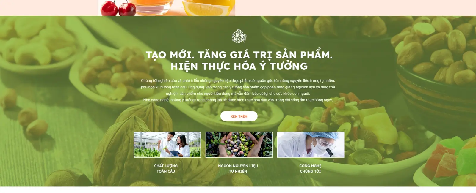 A green section of the site — product value proposition with supporting cards