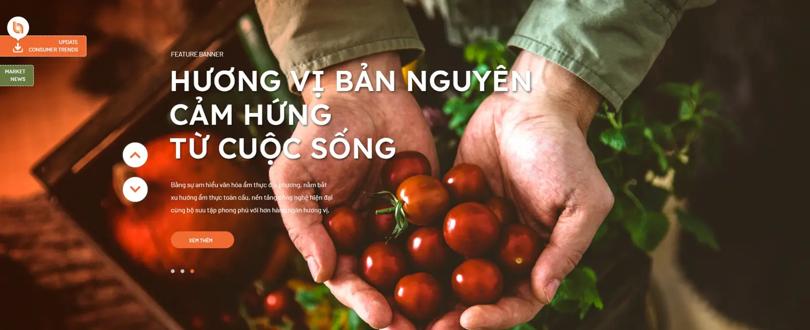 Website hero — hands holding tomatoes under the Vietnamese headline