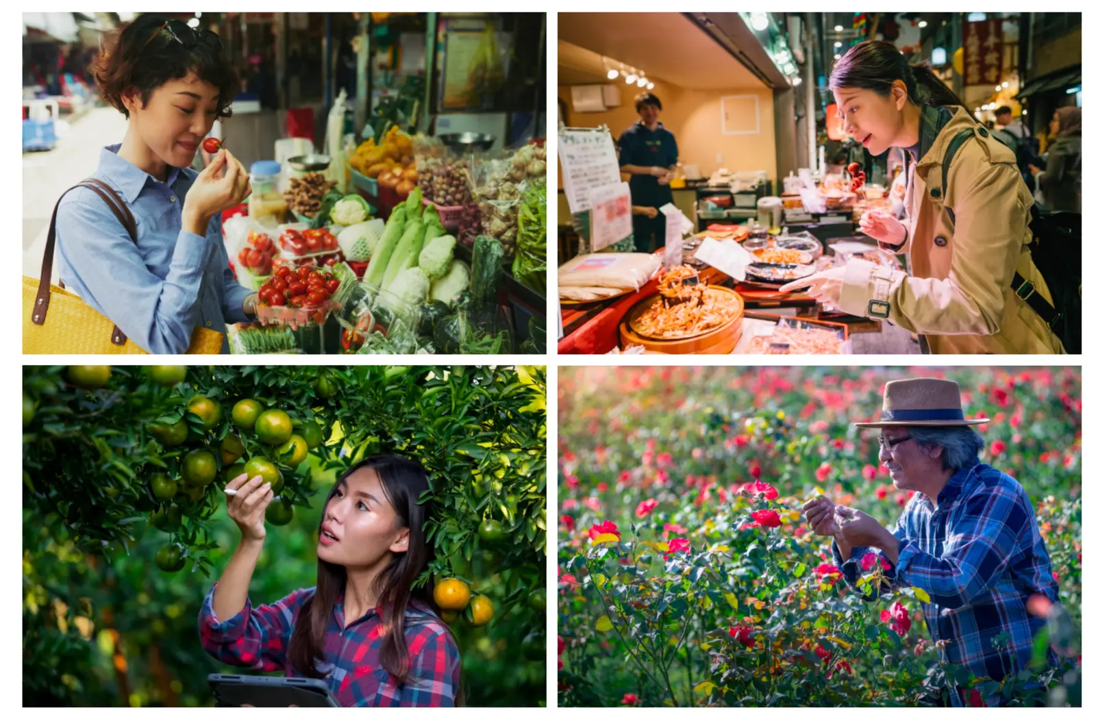 Image direction — people, produce and markets, warm and lived-in