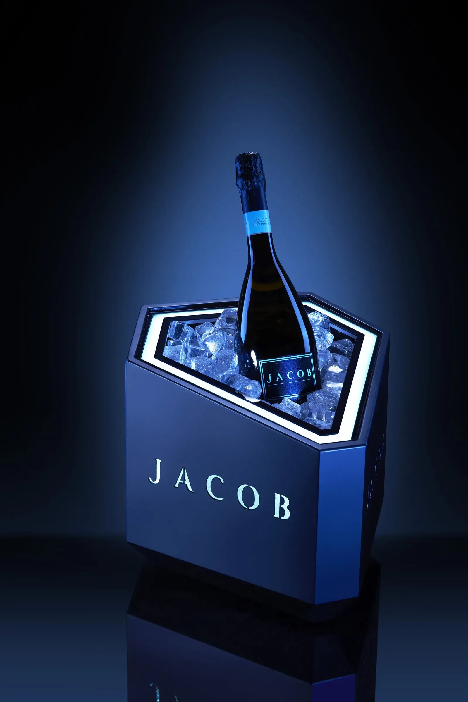 The bucket filled with ice, bottle inside