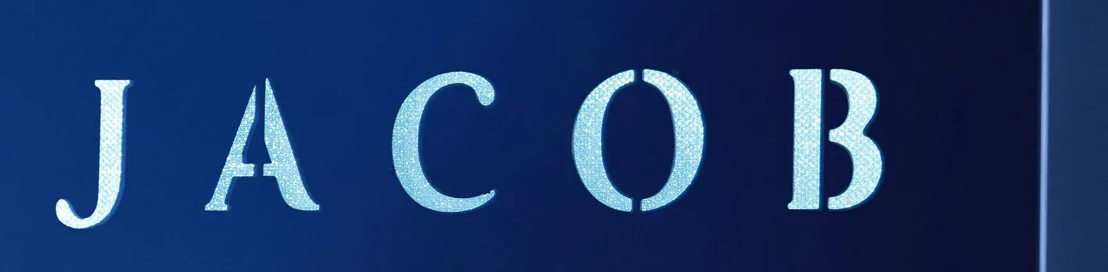 Detail — the wordmark embossed on the ice bucket