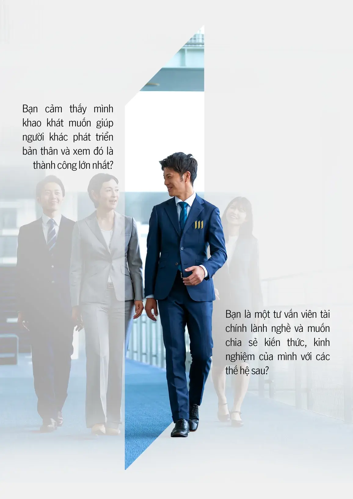 Brochure inner spread