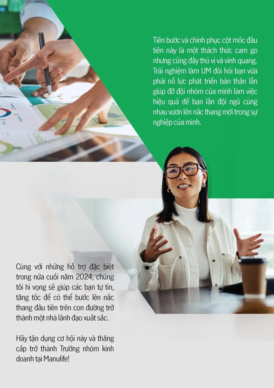 Brochure inner spread