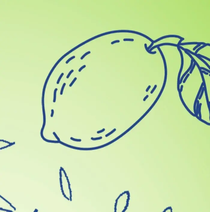 Detail — hand-drawn lime line work