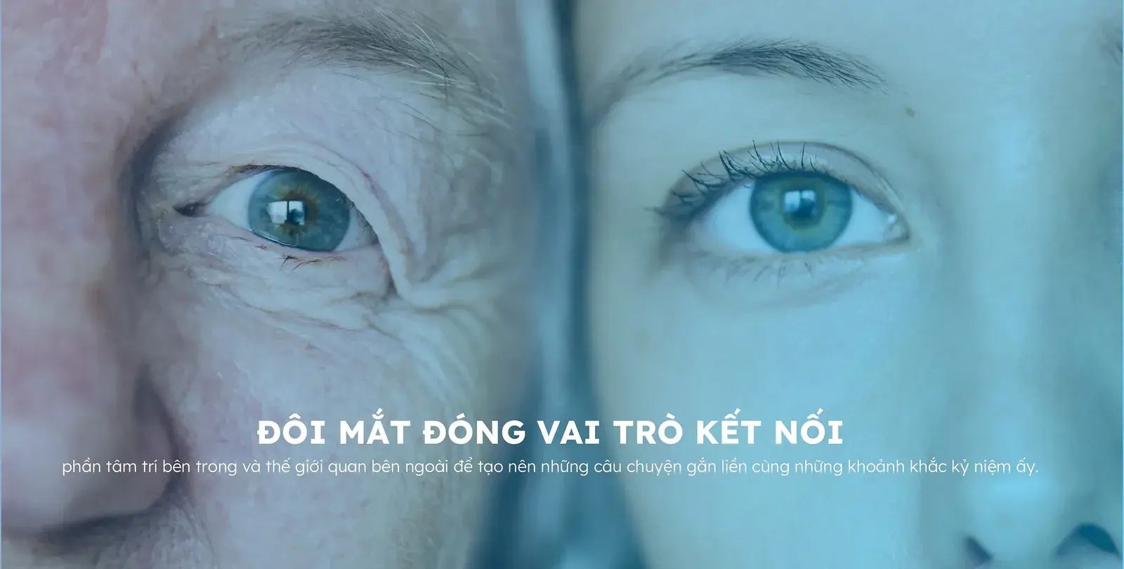 A wide strip of two eyes in close-up under the campaign line about sight as connection