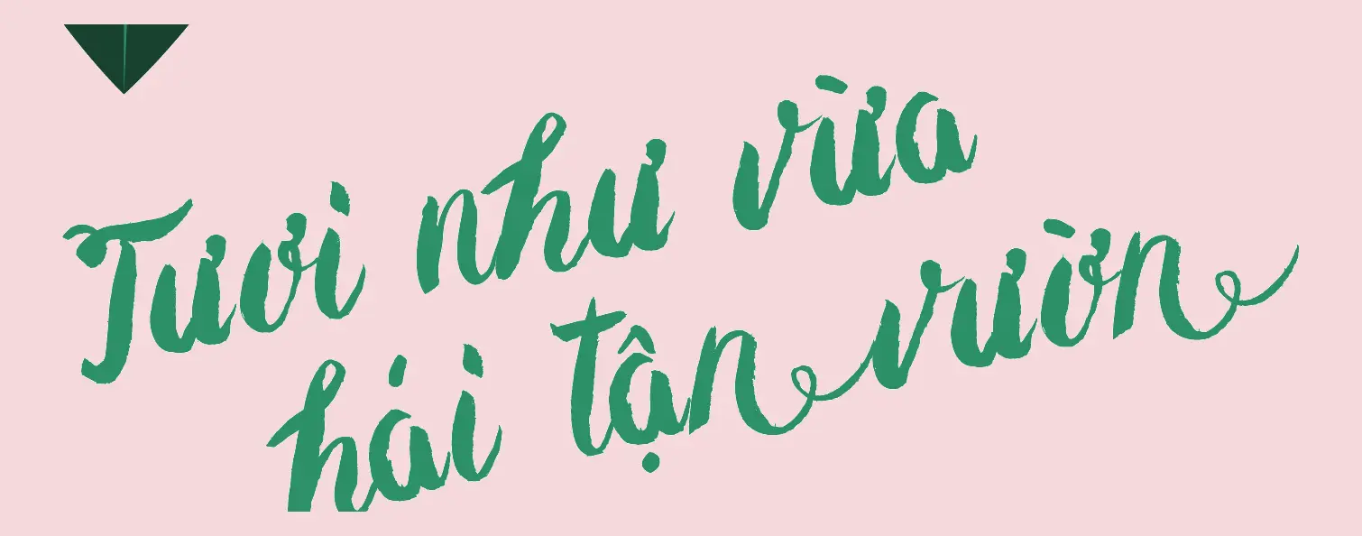 The handwritten line Tươi như vừa hái tận vườn in green script